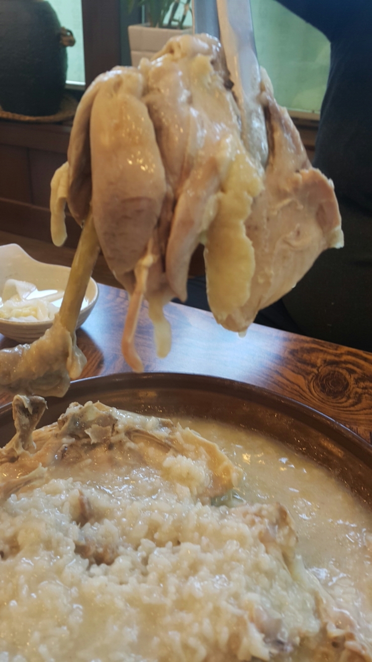 금송오리와삼계탕 이미지