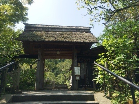 동경사 이미지
