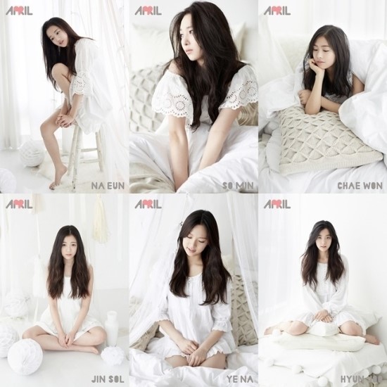 순수한찬 이미지