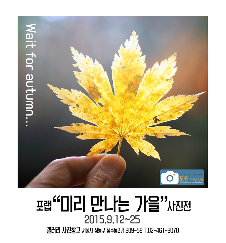 포랩 이미지