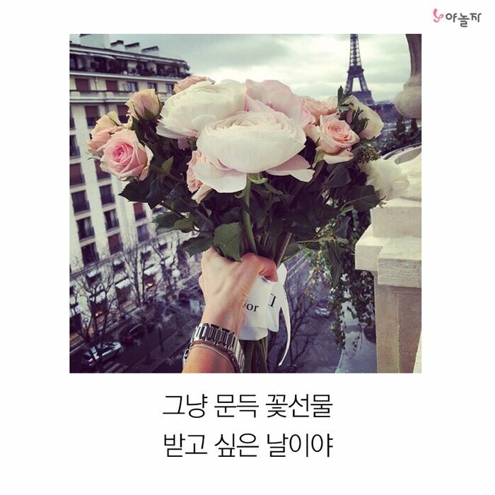 영풍어페럴 이미지