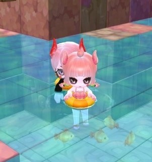 꼬엥 이미지