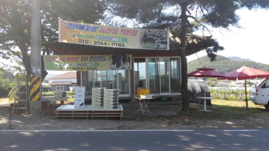 강화인삼직판장 이미지