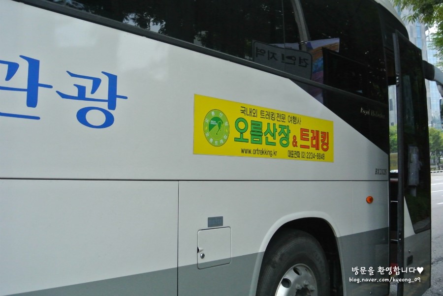 DSS여행사 이미지