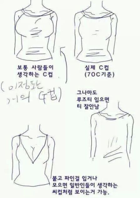 가슴 사이즈별 실제 크기(강예빈,유승옥,화성인,E컵,F컵,G컵,H컵등) : 네이버 블로그