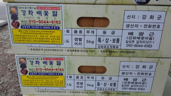 강화인삼직판장 이미지