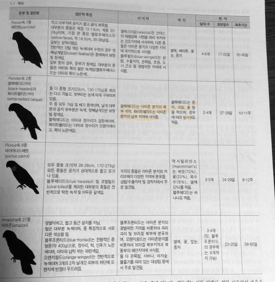 노랑머리과일 이미지