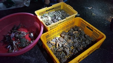 곰소젓갈도매시장 이미지