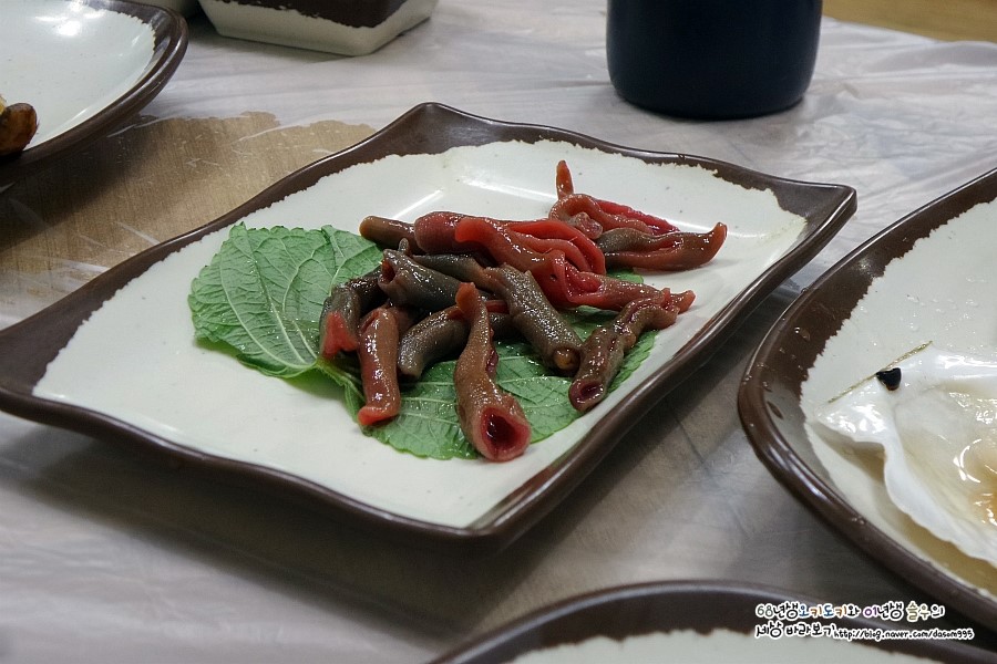 신항구회센타 이미지