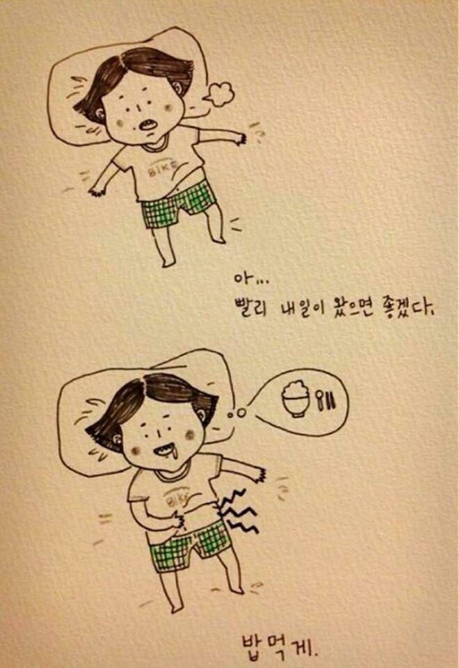 도토 이미지