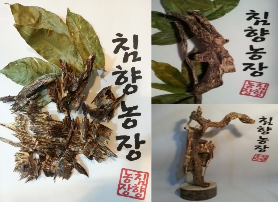 (주)침향농장 이미지