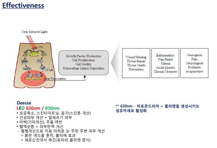디쎄 이미지