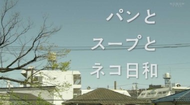 고양이라좋은날 이미지