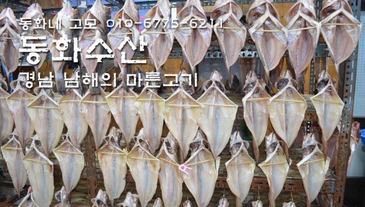 동화수산 이미지