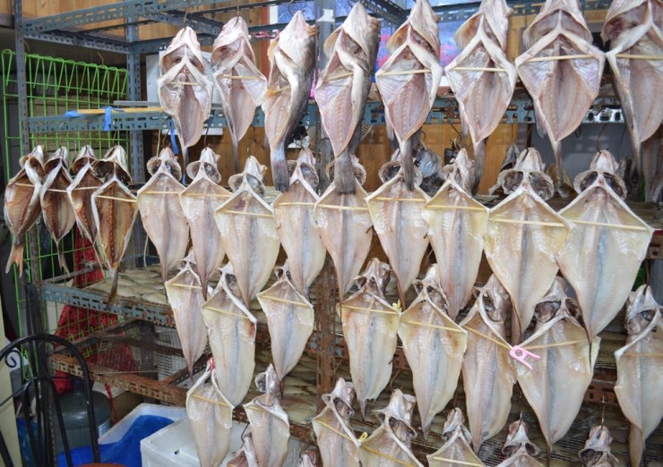 동화수산 이미지