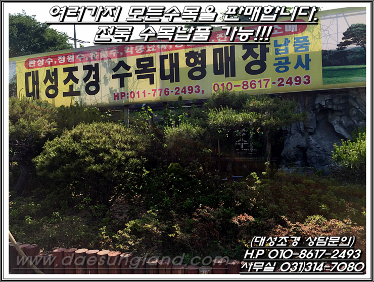 대성조경농원 이미지