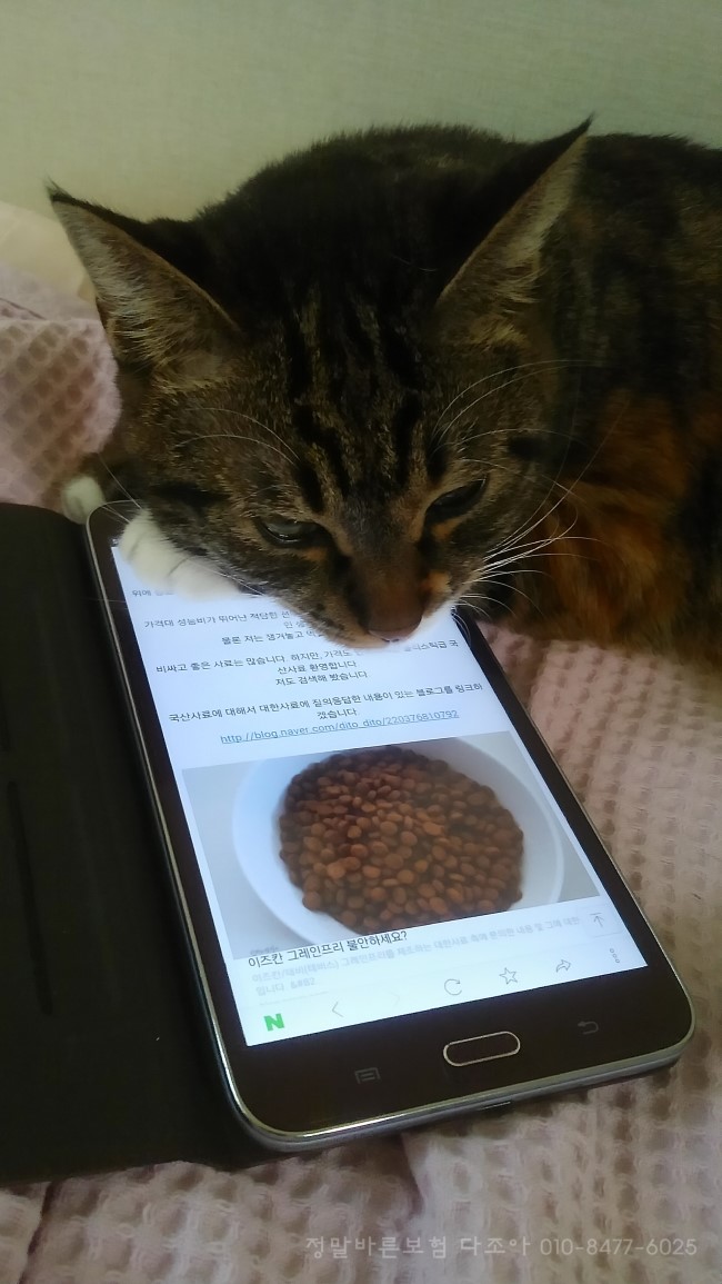 놀아줘 이미지