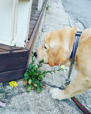 펀더멘탈무브먼트 이미지