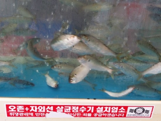 대창수산 이미지