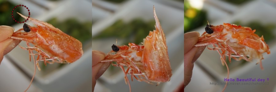 재경호 이미지