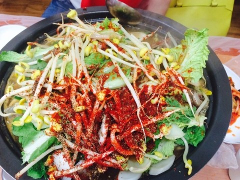 청산오리 이미지