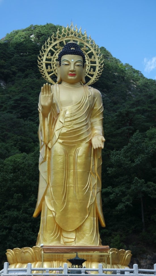 속리산손칼국수 이미지