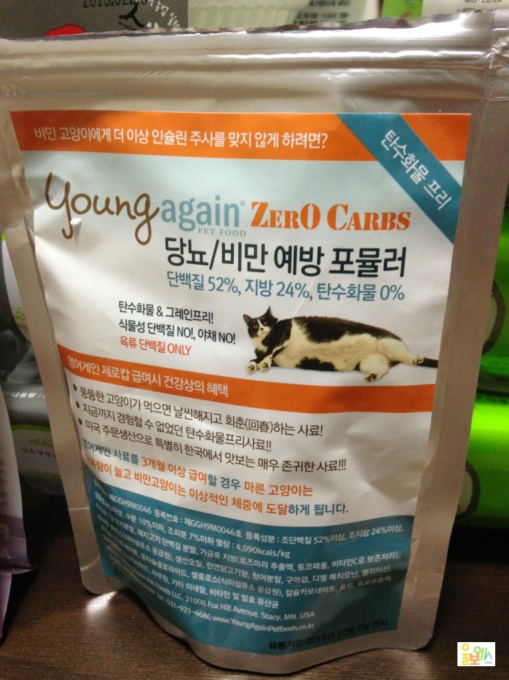 영어게인 이미지