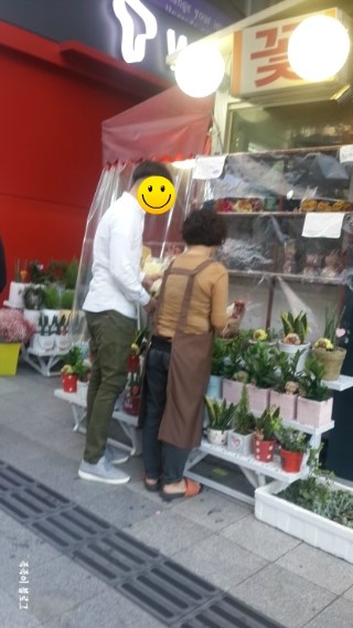 마당나온수탉 이미지