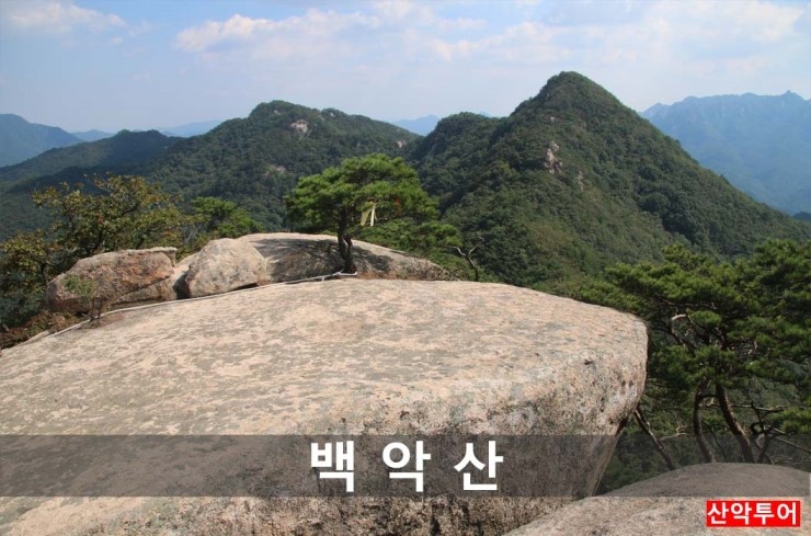 백악산흥부네 이미지