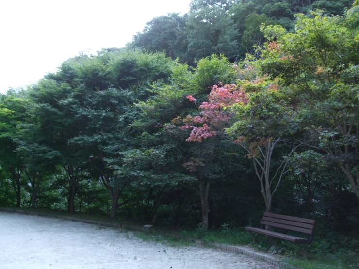 강천산아리울 이미지
