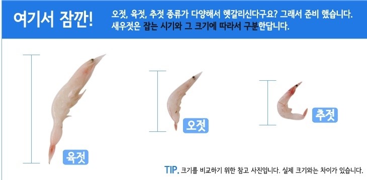 성안호 이미지