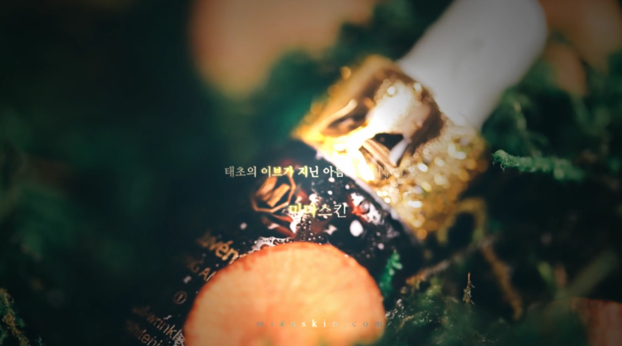 킨스토리 이미지