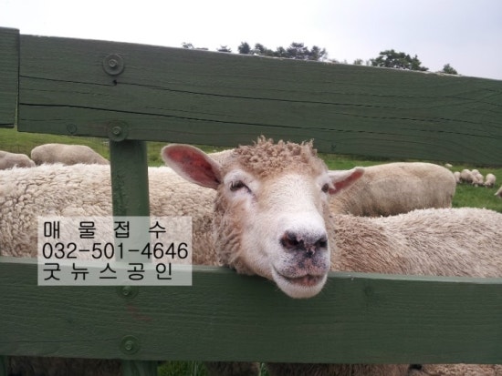 길상가 이미지