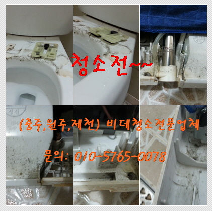 노비타충주 이미지