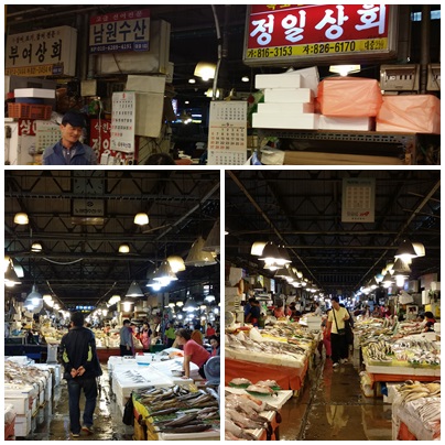 정일상회 이미지