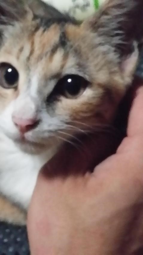 봉자 이미지