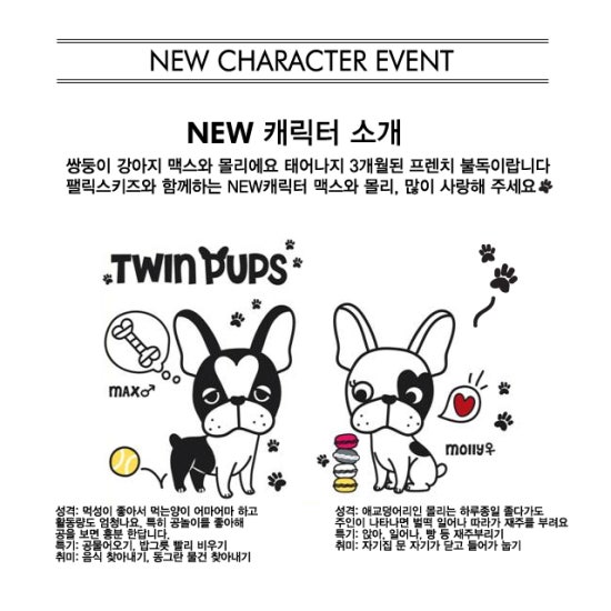 펠릭스키즈 이미지
