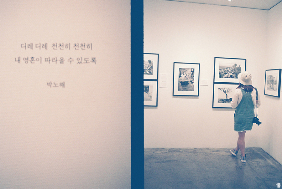디레디레 이미지