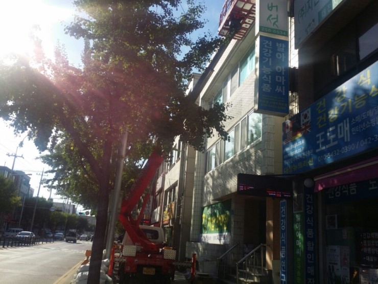 비타크린간판 이미지