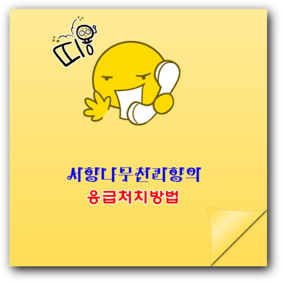 [엄마의 응급처치법]코피날때 아직도 고개를 드시나요 : 네이버 블로그