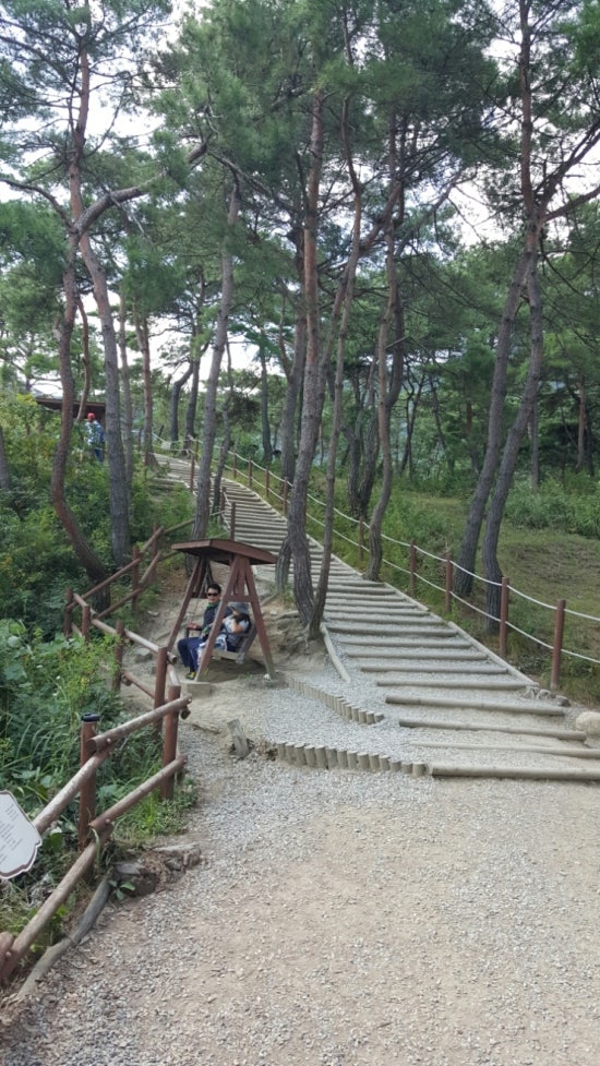 괴산호 전망 이미지