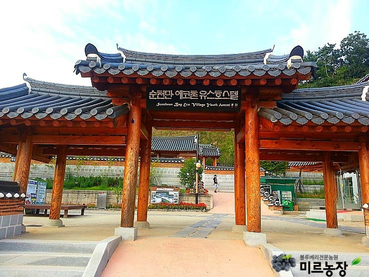 순천만여행스케치 이미지