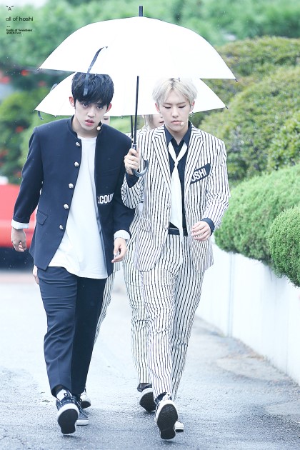 호시 이미지