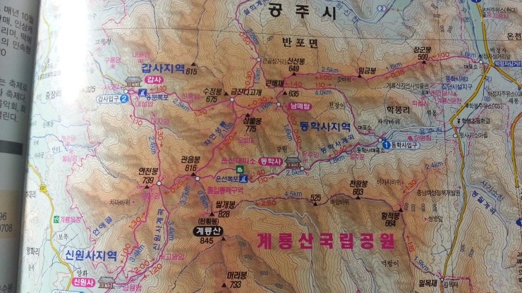 계룡산갑사황금산장 이미지