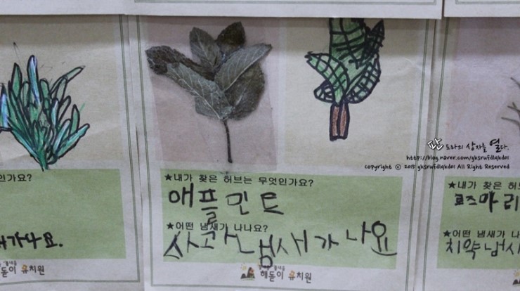 해돋이유치원 이미지