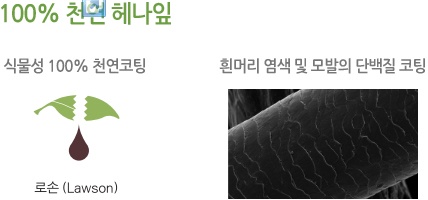 자연헤나 이미지