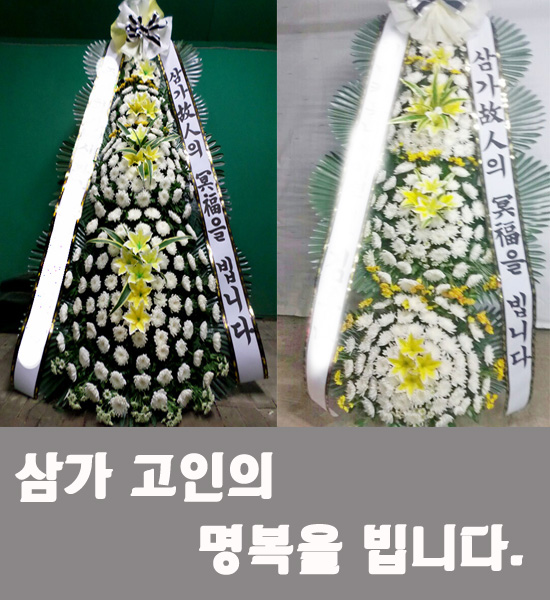 프라임꽃집 이미지