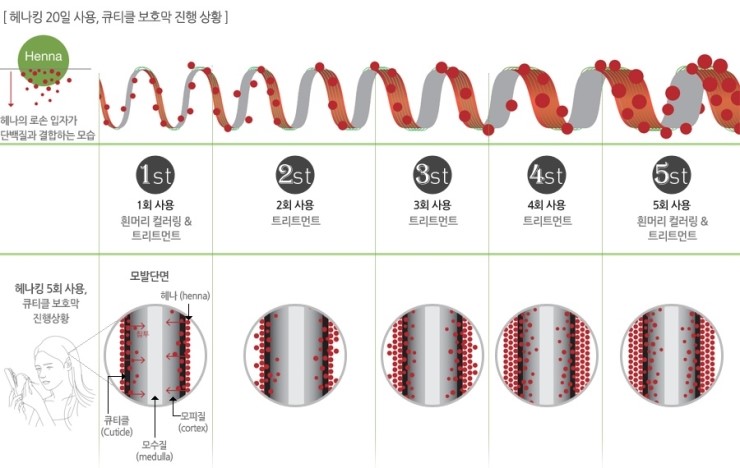 헤나킹 이미지