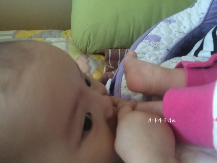 태리푸드 이미지