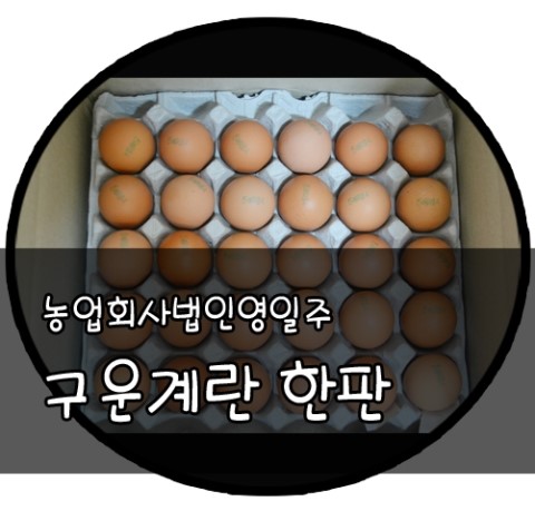 영일계란 이미지